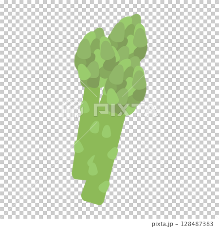 Asparagus illustration 128487383