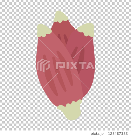 Myoga illustration 128487388