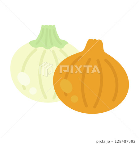 玉ねぎと新たまねぎ イラスト 玉ねぎと新たまねぎ イラスト 128487392