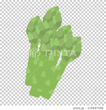 蘆筍例證 蘆筍例證 128487396