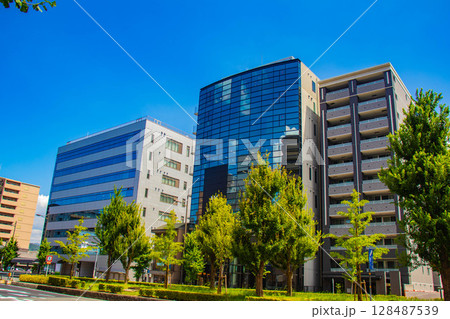 【京都風景】五条通りの空とビル群（河原町五条から堀川五条まで） 128487539
