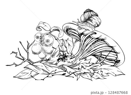 Russula webcap cortinarius mushroom, crawling snail on cap, cranberry lingonberry berries twigs on top of fallen autumn leaves pile. Forest floor. Fungi natural illustration hand drawn in vector ink. Russula webcap cortinarius mushroom, crawling snail on cap, cranberry lingonberry berries twigs on top of fallen autumn leaves pile. Forest floor. Fungi natural illustration hand drawn in vector ink. 128487668