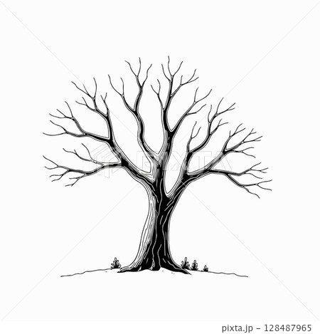 Bare Tree Illustration Bare Tree Illustration 128487965