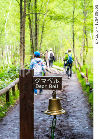 上高地の風景『遊歩道に設置されたクマベル』 128488068