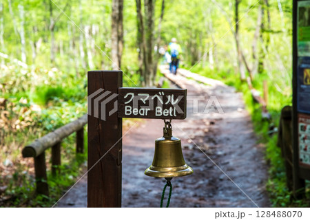 上高地の風景『遊歩道に設置されたクマベル』 128488070
