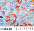白石の上を泳ぐ金魚と透明なガラス玉のパターン 128488733