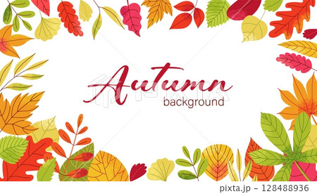 Autumn leaves framing. Cartoon fall decorative elements, colorful leaf border natural branch frame for card design. Vector banner with autumn foliage 128488936