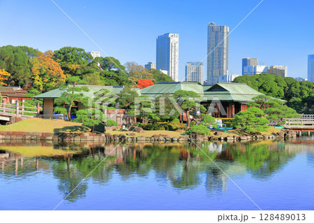 【東京都】快晴の浜離宮の中島の御茶屋（浜離宮恩賜庭園） 128489013