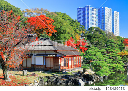 【東京都】快晴の浜離宮の中島の御茶屋と紅葉(浜離宮恩賜庭園) 【東京都】快晴の浜離宮の中島の御茶屋と紅葉(浜離宮恩賜庭園) 128489018