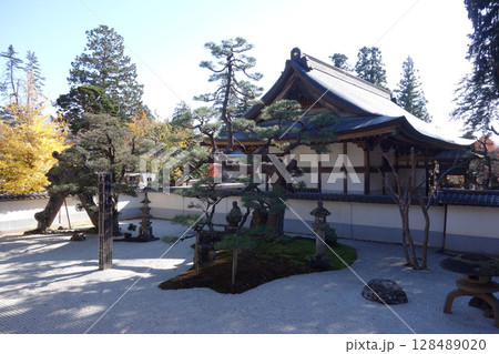 恵林寺の方丈前庭（山梨県甲州市） 128489020