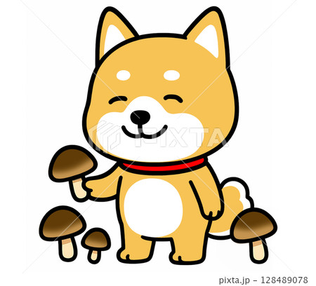 秋に美味しそうな椎茸を収穫しているしばいぬ 秋に美味しそうな椎茸を収穫しているしばいぬ 128489078