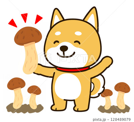 大きな松茸を見つけて大喜びのしばいぬ 128489079