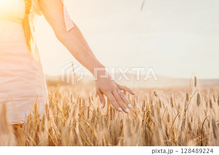 Woman wheat field. Agronomist, Woman farmer check golden ripe barley spikes in cultivated field. Closeup of female hand on plantation in agricultural crop management concept. 128489224