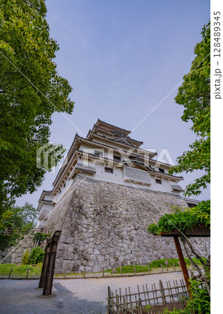 (佐賀県)新緑に包まれた唐津城 (佐賀県)新緑に包まれた唐津城 128489345