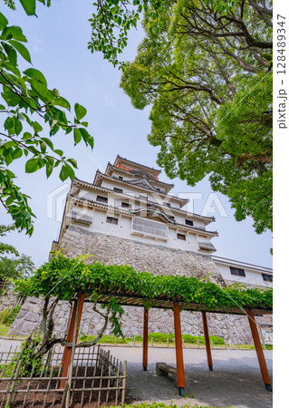 （佐賀県）新緑に包まれた唐津城 128489347