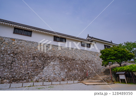 (佐賀県)新緑に包まれた唐津城 (佐賀県)新緑に包まれた唐津城 128489350