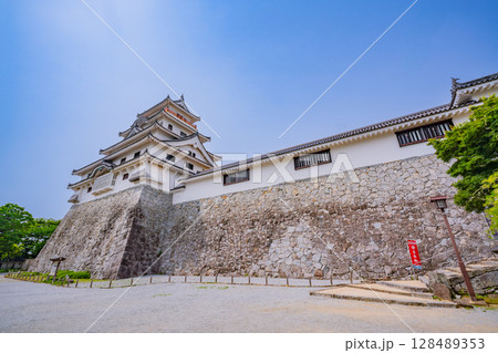 （佐賀県）新緑に包まれた唐津城 128489353