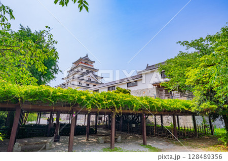 (佐賀県)新緑に包まれた唐津城 (佐賀県)新緑に包まれた唐津城 128489356