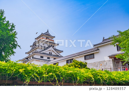 （佐賀県）新緑に包まれた唐津城 128489357