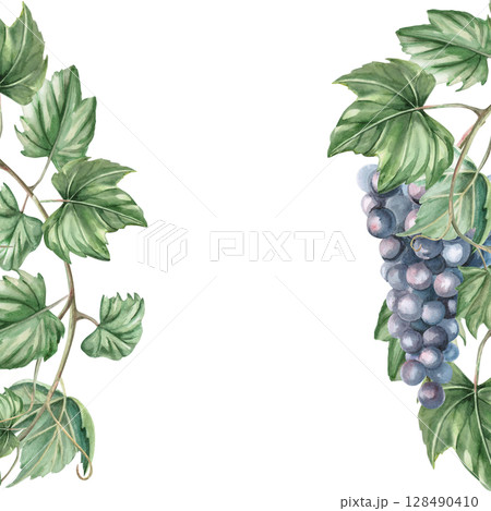 Square frame with ripe bunch of dark grapes. Isolated watercolor illustration for window display, menu, design of printed products for fairs, harvest day. 128490410