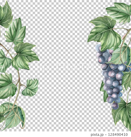 Square frame with ripe bunch of dark grapes. Isolated watercolor illustration for window display, menu, design of printed products for fairs, harvest day. Square frame with ripe bunch of dark grapes. Isolated watercolor illustration for window display, menu, design of printed products for fairs, harvest day. 128490410