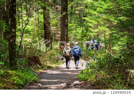 上高地の風景『新緑の中を行く遊歩道』 128490919