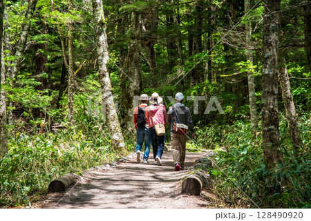 上高地の風景『新緑の中を行く遊歩道』 128490920