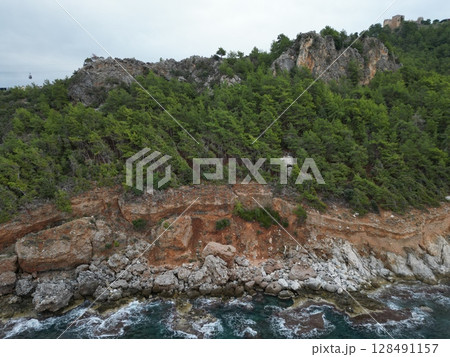 Cliffside forest coastline. High quality photo 128491157