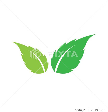 green leaf ecology nature element vector icon green leaf ecology nature element vector icon 128491339