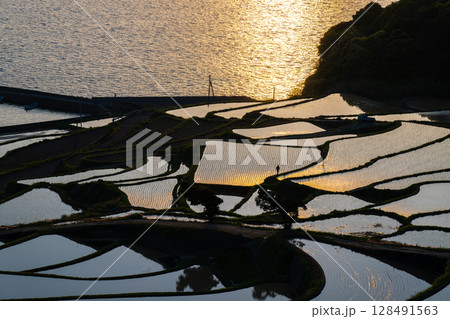 玄海灘の絶景　土谷棚田 128491563
