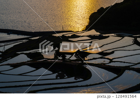 玄海灘の絶景　土谷棚田 128491564