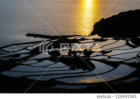玄海灘の絶景 土谷棚田 玄海灘の絶景 土谷棚田 128491565