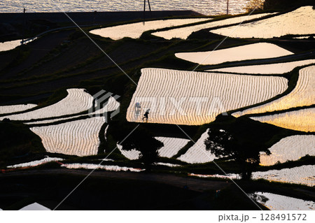 玄海灘の絶景　土谷棚田 128491572