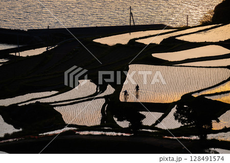 玄海灘の絶景　土谷棚田 128491574