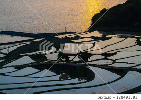 玄海灘の絶景 土谷棚田 玄海灘の絶景 土谷棚田 128491593