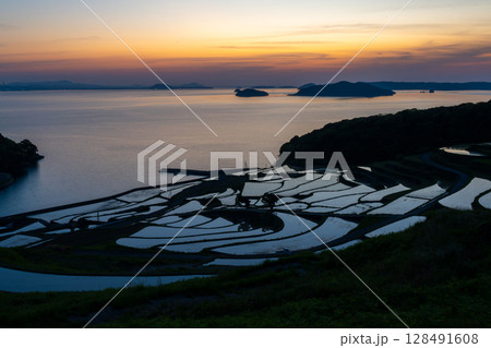 玄海灘の絶景　土谷棚田 128491608
