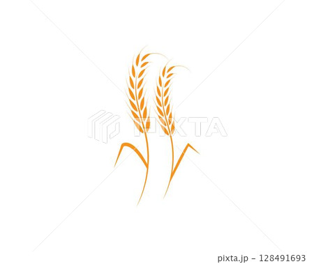 wheat Logo Template vector wheat Logo Template vector 128491693