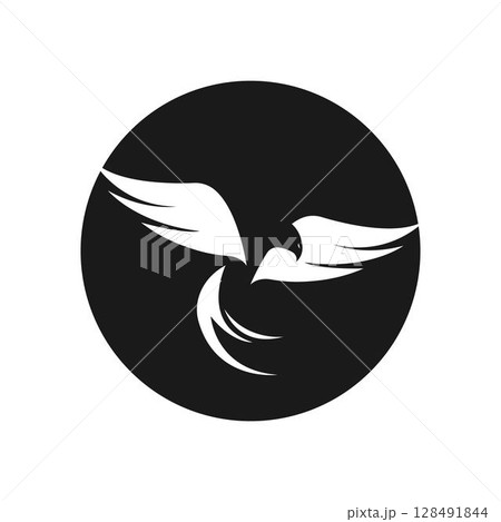 Falcon Wing Logo Template vector icon design 128491844
