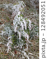 Winter landscape background 128492051