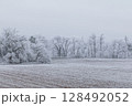 Winter landscape background 128492052