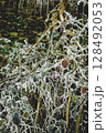 Winter landscape background 128492053