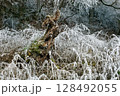 Winter landscape background 128492055