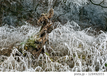 Winter landscape background 128492055