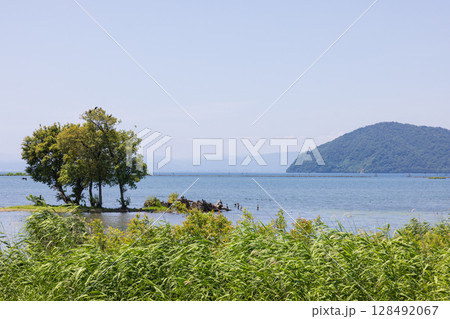 夏の琵琶湖の景色 夏の琵琶湖の景色 128492067