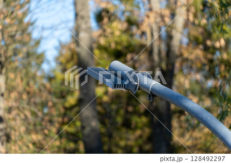 A modern street light fixture stands tall against a backdrop of green and yellow trees, illuminated by the afternoon sun A modern street light fixture stands tall against a backdrop of green and yellow trees, illuminated by the afternoon sun 128492297