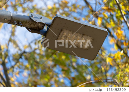Bright street light shines down through colorful autumn leaves, providing warmth to the park on a clear day 128492299