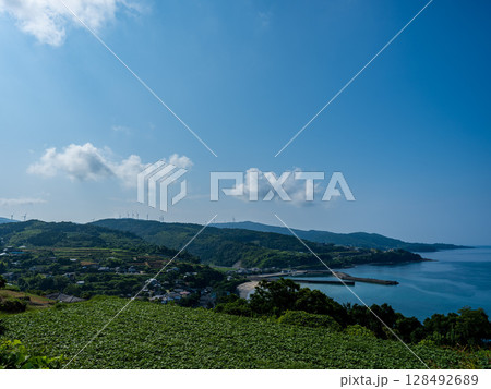 鹿児島県長島風力発電と棚田と海 128492689