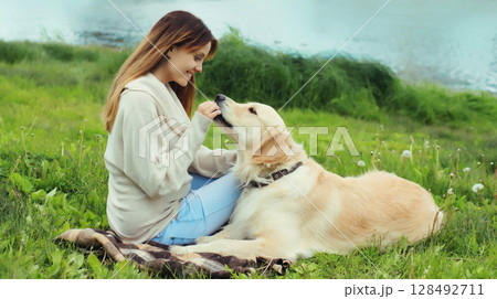 Happy owner young woman feeding Golden Retriever dog on the grass together in summer park Happy owner young woman feeding Golden Retriever dog on the grass together in summer park 128492711