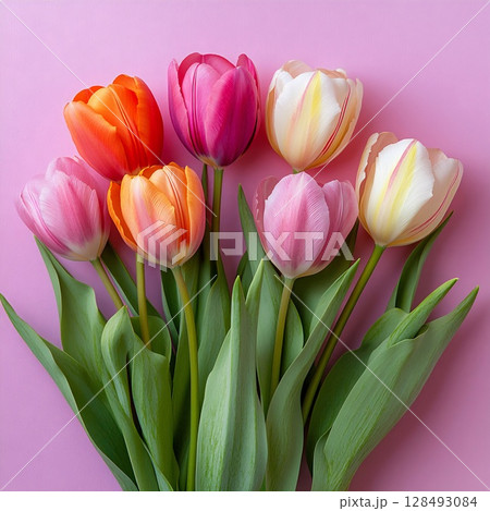 Bouquet of pastel tulips on a bright pink background. Generative AI 128493084