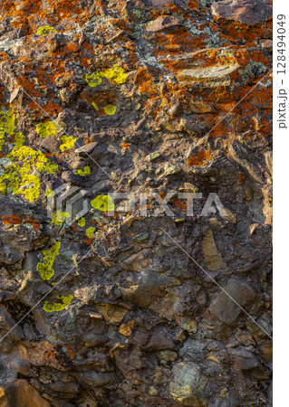 Textured rock covered in orange and yellow lichen outdoors Textured rock covered in orange and yellow lichen outdoors 128494049